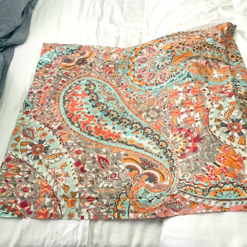Pottery Barn queen duvet and 2 matching euro shams